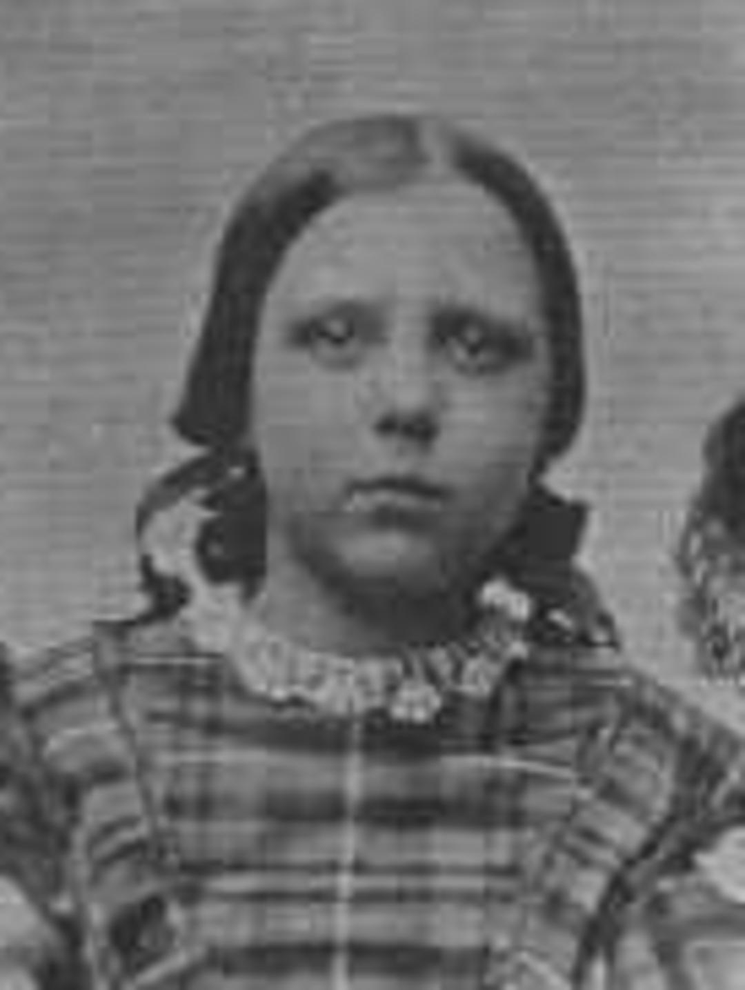 Agnes Ann Farmer (1845 - 1930) Profile